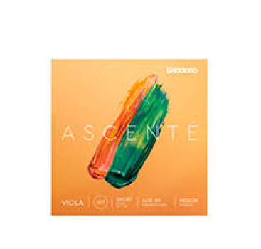 D`Addario Ascente Viola Saitensatz A410LM